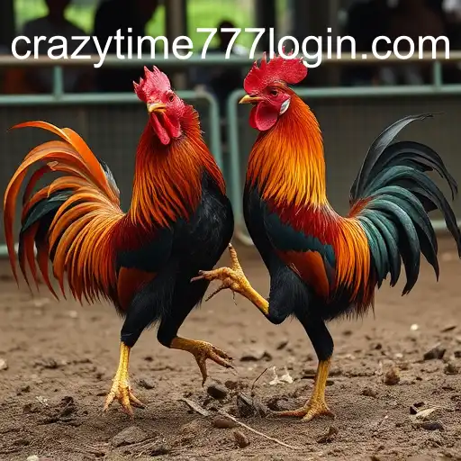 Gaming Experience CRAZYTIME777 - 800+ Premium and Exclusive Games